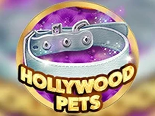 Hollywood Pets