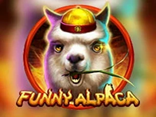 Funny Alpaca