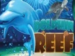 dolphin reef