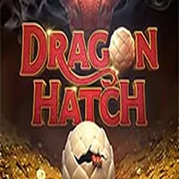 dragon hatch