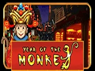 Year of The Monkey